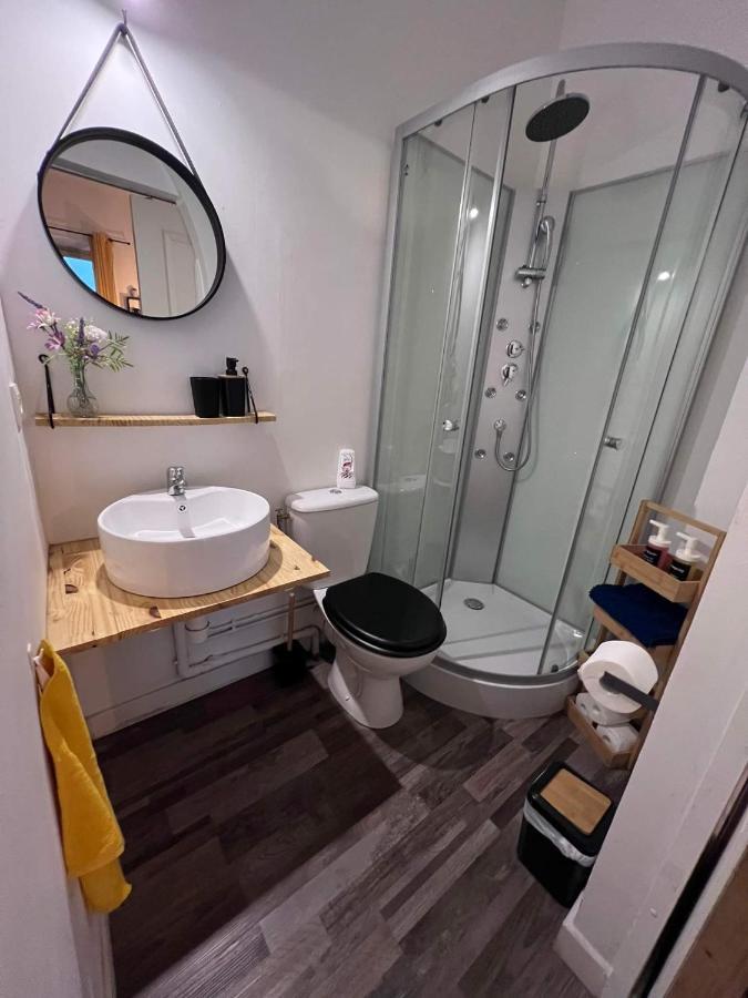 Charmant Appartement Climatise Aux Pieds De La Cite カルカソンヌ エクステリア 写真