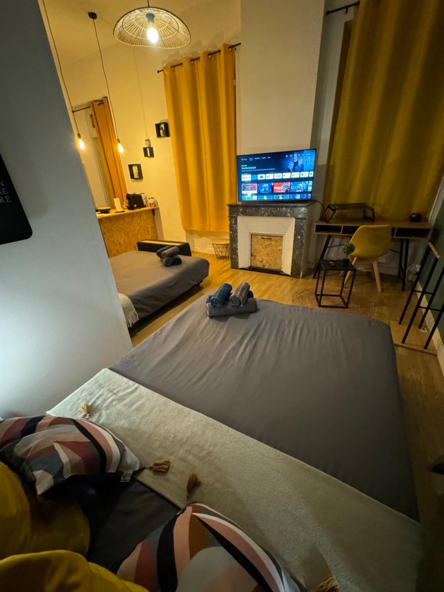 Charmant Appartement Climatise Aux Pieds De La Cite カルカソンヌ エクステリア 写真