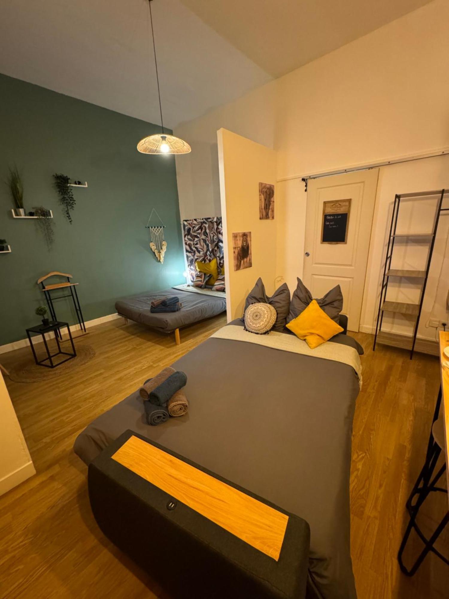Charmant Appartement Climatise Aux Pieds De La Cite カルカソンヌ エクステリア 写真