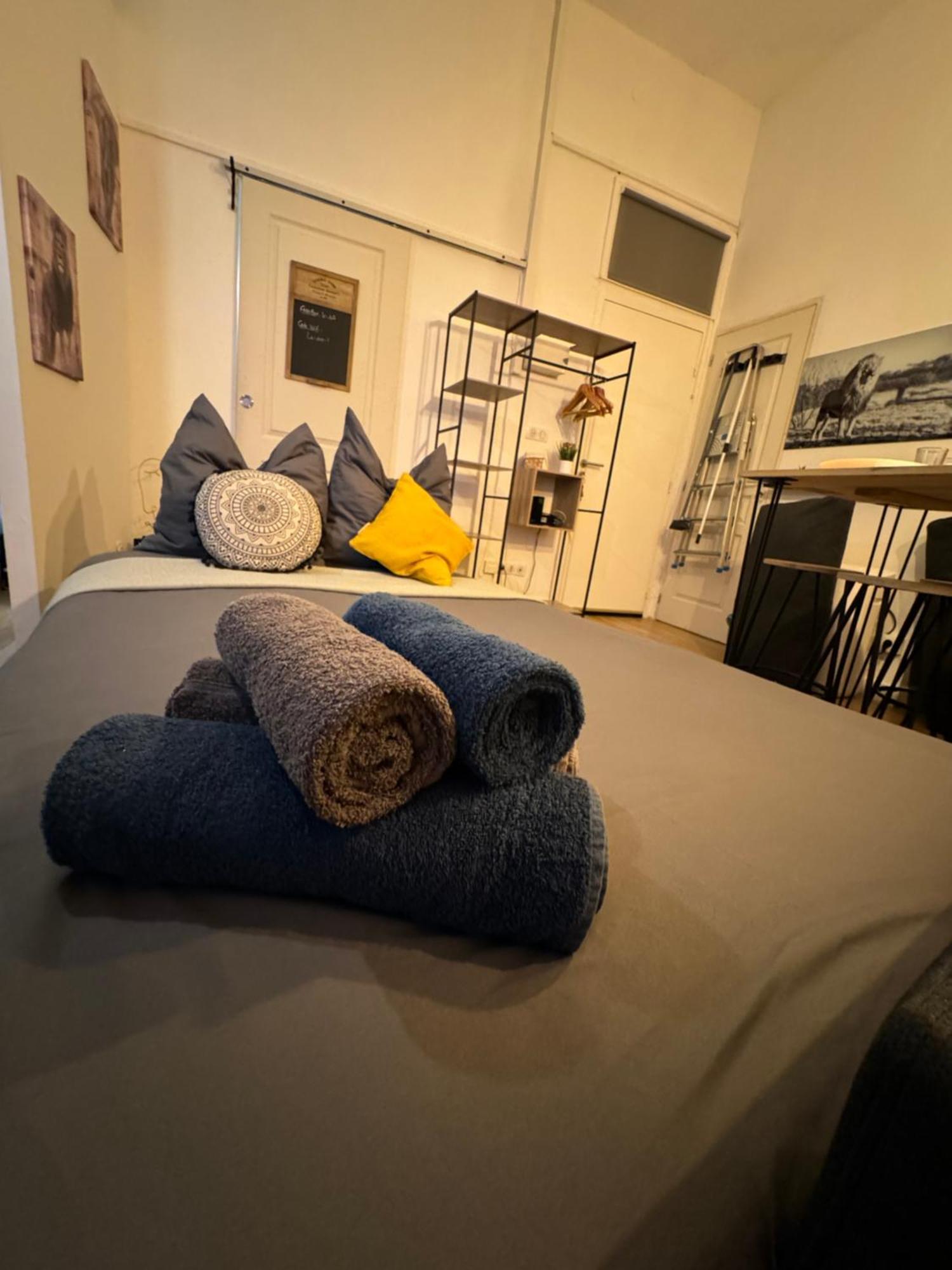 Charmant Appartement Climatise Aux Pieds De La Cite カルカソンヌ エクステリア 写真