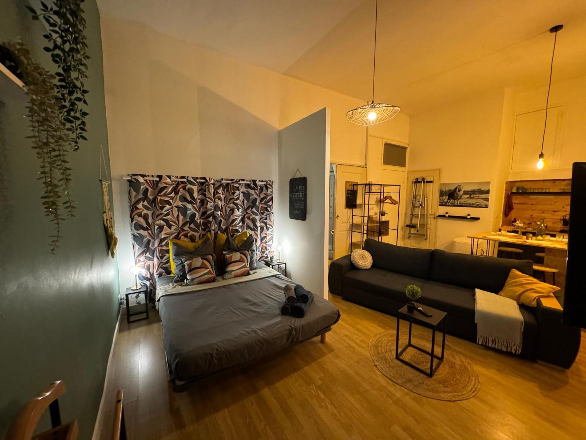 Charmant Appartement Climatise Aux Pieds De La Cite カルカソンヌ エクステリア 写真